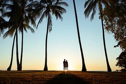 Wedding Planning